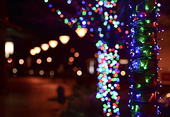 A vibrant display of holiday string lights wrapping a tree trunk, creating a festive ambience. HD wallpaper