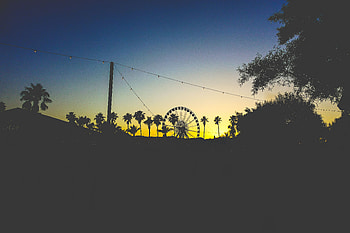 Twilight, Palms, Dark, Dusk, Ferris Wheel HD wallpaper