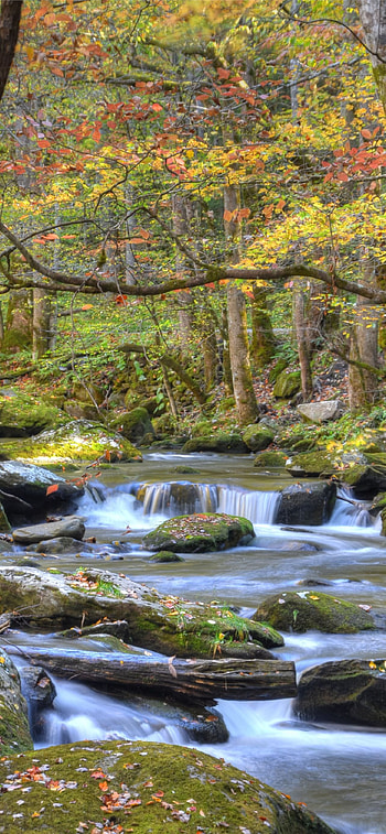 Great Smoky Mountains, National Park HD phone wallpaper