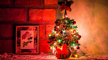 Christmas lights, , Festive ambiance, Holiday spirit HD wallpaper
