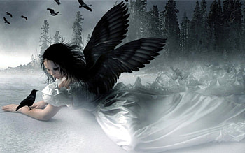 Goth Angel, crows, white dress, woman, black wings HD wallpaper