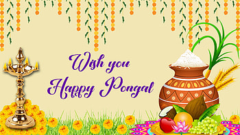 Lamp Fruits Clay Pot Sugarcane Coconuts Wish You Happy Pongal Pongal HD wallpaper