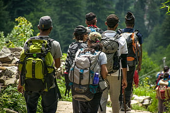 An adventurous group hike in a lush forest setting with vibrant green surroundings. HD wallpaper