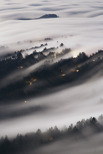 View From Above, Nature, Trees, Shine, Forest, Fog, Brilliance HD phone wallpaper