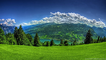 Relaxing, Eye Soothing HD wallpaper