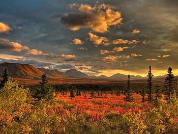 Wonderful Nature, clouds, nature, tree, sunset HD wallpaper
