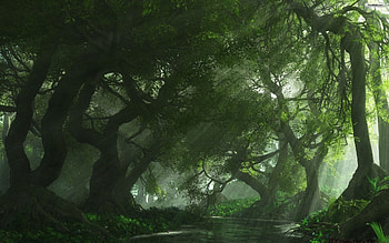 Green Forest - Cave HD wallpaper