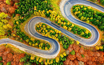 road serpentines, winding road, aerial view, summer, beautiful nature, forest, R, dry forest HD wallpaper