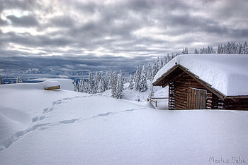 house in snow, nature, lovely HD wallpaper