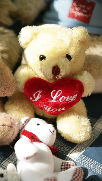 Cute Teddy, Love HD phone wallpaper
