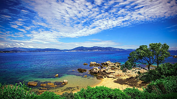 Wild Beach In The Middle of the Summer, sea, summer, clouds, sky, nature, rock, tree, beach HD wallpaper