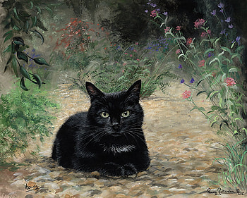 Black cat, sweet, animal, kitten, cat, feline HD wallpaper