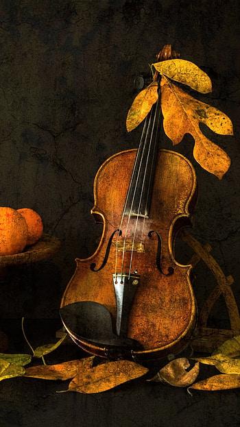 Autumn Still Life, leaf, fall, violin, graphy, still life HD phone wallpaper
