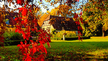 Autumn in countryside, colorful, house, fall, peaceful, beautiful, tree, leaves, branches, autumn, countryside, foliage HD wallpaper