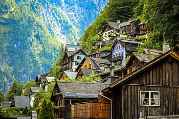 Charming wooden houses on a lush mountainside in Hallstatt, Austria under bright daylight. HD wallpaper