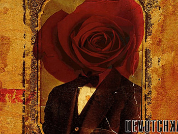 Devotchka Rosehead, , rose, music, devotchka HD wallpaper