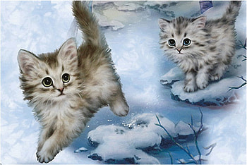 Winter cats, winter, kitten, holiday, snow, christmas, cat HD wallpaper