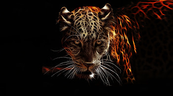Jaguar, animal, wildlife, artwork HD wallpaper