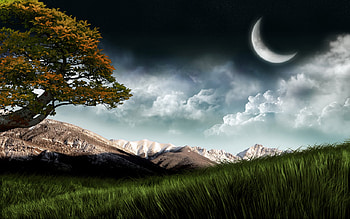 Beyond the Field, ea HD wallpaper