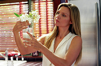 Michelle Pfeiffer, High definition, Glamorous beauty, Iconic actress HD wallpaper