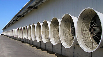 line of fans, still life, fine art, fans, cool, building, fan HD wallpaper