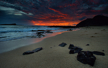 Sea, Nature, Sky, Night, Beach HD wallpaper