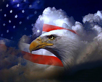 dom, 09, eagle, 2011, 11, america HD wallpaper