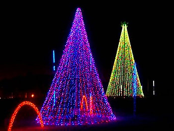 Christmas show, purple, lights, christmas, green, red, trees, colors, blac HD wallpaper