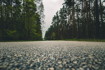 Nature, Trees, Road, Close-Up HD wallpaper