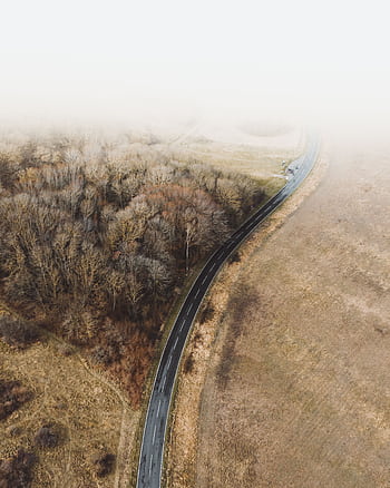 A misty aerial scene showing a winding road through fall countryside with trees and grassland. HD phone wallpaper