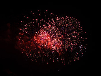 Holidays, Sparks, Holiday, Fireworks, Firework HD wallpaper