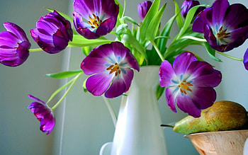 Still Life, Pear, purple, beautiful, flowers HD wallpaper