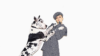 Gigi hadid, dog, Harpers Bazaar, may, 2018 HD wallpaper