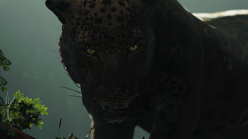 Shadow Of The Tomb Raider, Shadow of the Tomb Raider HD wallpaper