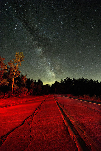 Nature, Trees, Night, Shine, Light, Road, Starry Sky HD phone wallpaper