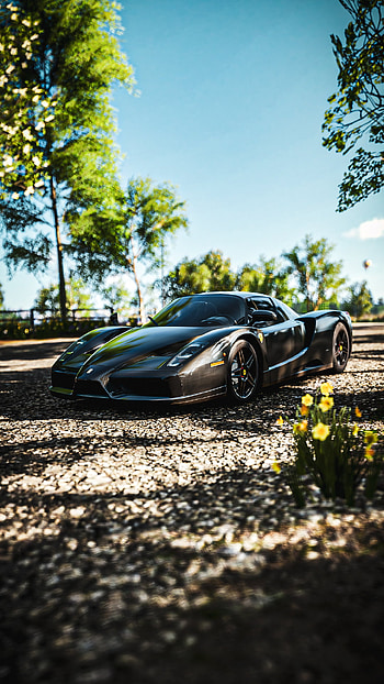 Enzo, exótico, carbono, deportivo, fh5, rojo, ferrari, Racing HD phone wallpaper