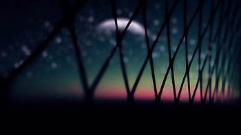 Wire Fence Macro, fence, macro, graphy HD wallpaper
