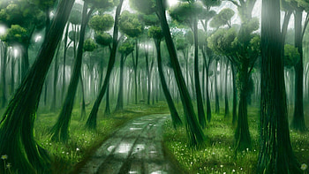 Green Forest - Android Apps on Google Play HD wallpaper