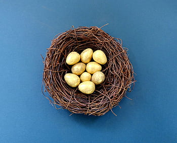 A nest filled with golden eggs placed on a solid blue surface, perfect for Easter themes. HD wallpaper