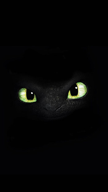 Night Fury, Toothless Dragon HD phone wallpaper