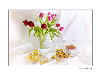 still life, tulip, graphy, tea, tulips, nice, bouquets, flower, lemon, , vase, beautiful, cup, cool, flowers, harmony, drink HD wallpaper