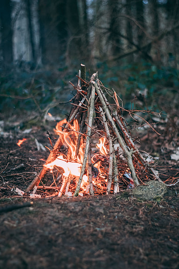 Nature, Fire, Bonfire, Branches, Camping, Campsite HD phone wallpaper