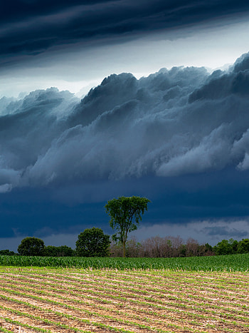 Landscape, Nature, Trees, Clouds, Field, Storm, Thunderstorm HD phone wallpaper
