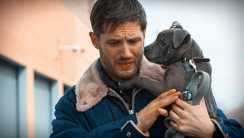 The Drop (2022) movie HD wallpaper