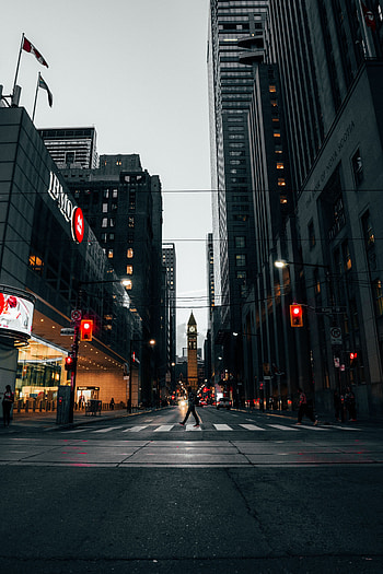 Cities, City, Building, Megalopolis, Megapolis, Street, Crosswalk, Pedestrian Crossing HD phone wallpaper