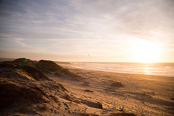 Beach Ocean Dunes, beach, ocean, dunes, nature HD wallpaper