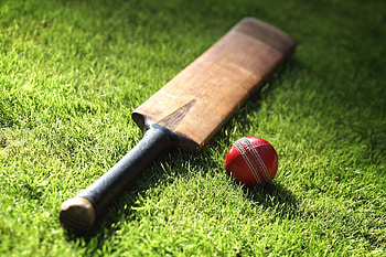 Cricket sport aesthetics, Top cricket , Enthusiastic crowd, Sporty atmosphere HD wallpaper