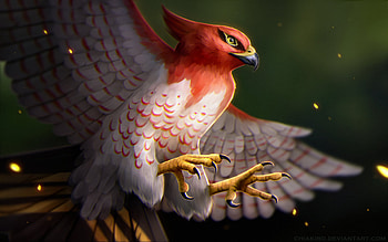 Talonflame Pokemon, pokemon, artist, bird, digital-art HD wallpaper
