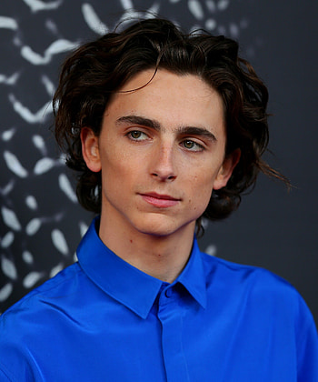 Timothee Chalamet, Talks Lily Rose Depp, Celebs HD phone wallpaper