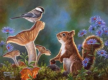 i am a sqirrel,and you?, natur, birds, bird, squirrel HD wallpaper